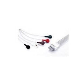 Mindray Ds Usa Inc ECG 5-Lead Snap Lead Wires 115-004869-00 - 1.0 Each
