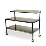 Mid Central Medical 2-Tier Back Tables MCM556 - 1.0 Each