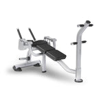 Johnson Health Tech Co., Ltd. Magnum Ab Crunch Bench MG-PL50 1.0 Each-MDL-MTXMG-PL50