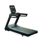 Johnson Health Tech Co., Ltd. Matrix Endurance Treadmills T-ES-LED - 1.0 Each
