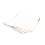 Pro Advantage Pro Advantage 2-Ply Tissue Drape Sheets P754048 - 100.0 Each