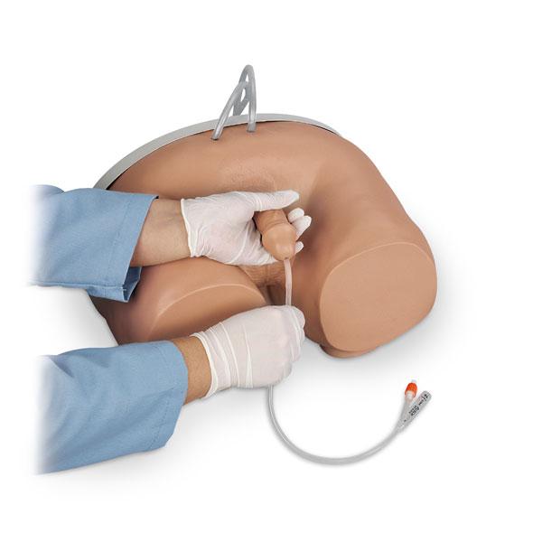 Nasco Healthcare Life / form Male and Female Catheter Training Model Sets LF00857U - 1.0 Each