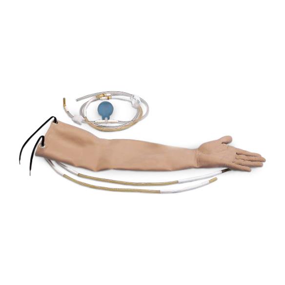 Nasco Healthcare Skin Kit Replacements with Artery LF00998U - 1.0 Each - MDL-NSCLF00998U