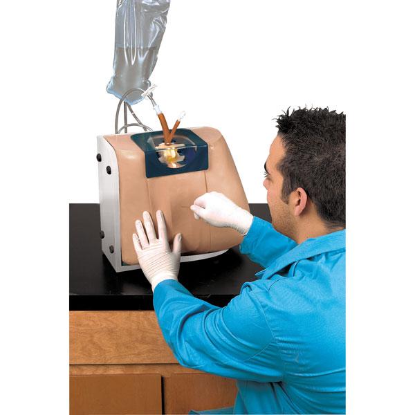 Nasco Healthcare Life / form Spinal Injection Simulator LF01036U - 1.0 Each