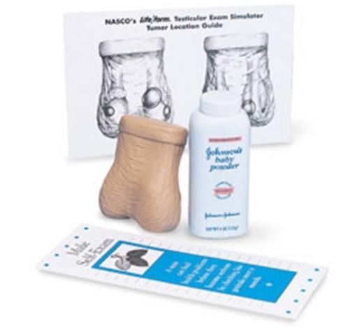 Life/form Testicular Exam Simulator Trainer - LF01143U - 1 Each - MDL-NSCLF01143U