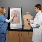 Nasco Life / form LF01191 U Complete Auscultation Training Station - MDL-NSCLF01191U - 1 Each