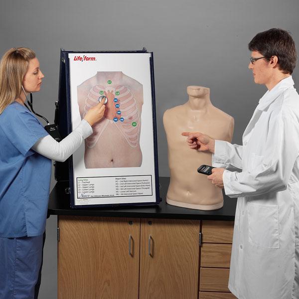Nasco Life / form LF01191 U Complete Auscultation Training Station - MDL-NSCLF01191U - 1 Each
