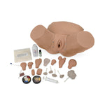 Nasco Advanced Pelvic Examination and Gynecological Simulator - LF01235U - 1 Each - MDL-NSCLF01235U