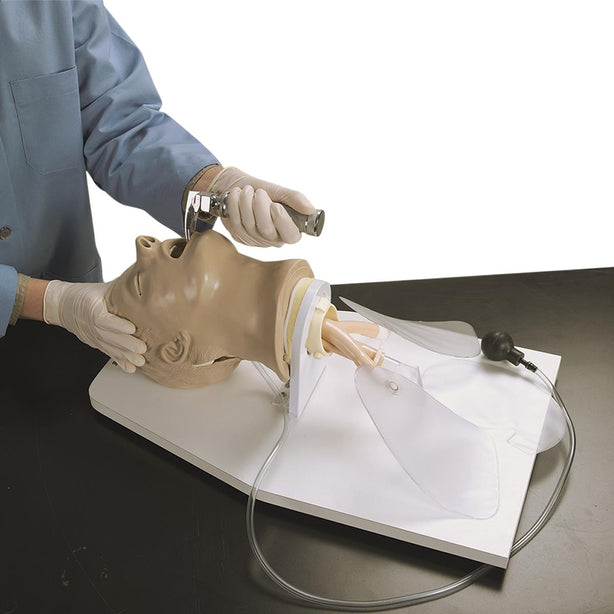 Nasco Healthcare Life / form Airway Larry Adult Airway Management Trainer Manikin LF03699U - 1.0 Each