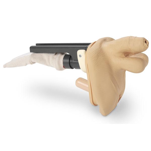 Nasco Replacement Genitalia (Male) - LF04075N - 1 Each - MDL-NSCLF04075N