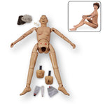 NASCO Replacement Teeth for Life/form KERi Nursing Skills Training Manikins - LF04085U - 1 Each