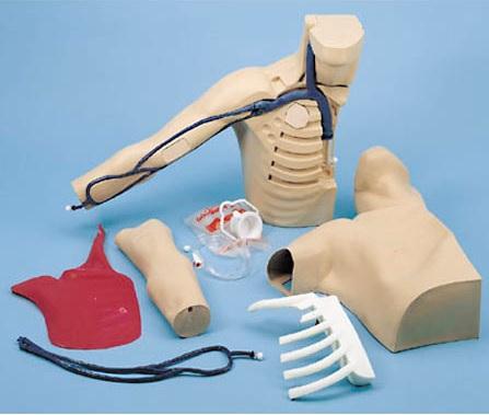 Nasco Training Peter PICC Line Manikin with Soft Carrying Case, 17" x 22" x 5-1/2" - SB20132U - 1 Each