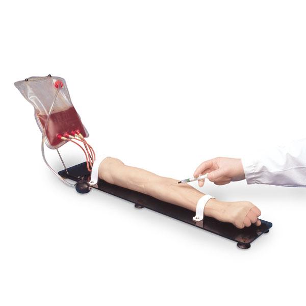 NASCO HEALTHCARE Venous Training Arms SB23444U 1 Each - MDL-NSCSB23444U