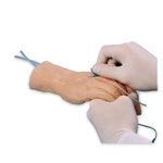 Nasco Healthcare Venipuncture Training Model Hand SB23499U - 1.0 Each