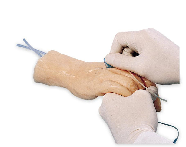 Nasco Healthcare Venipuncture Training Model Hand SB23499U - 1.0 Each