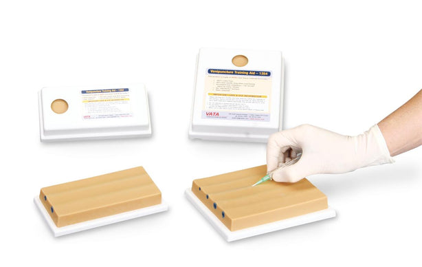 Nasco Healthcare Two-Vein Venipuncture Training Aid SB23526U - 1.0 Each