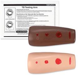 Nasco Healthcare TB Testing Arm Trainer Simulator SB25973U - 1.0 Each