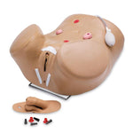 Nasco Healthcare Nasco Advanced Male and Female Catheterization Simulators SB28919U - 1.0 Each