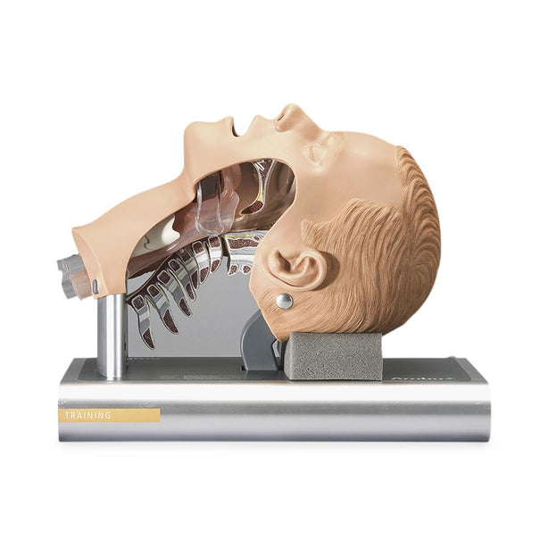Ambu Intubation Trainer - SB32893 - 1 Each - MDL-NSCSB32893U