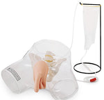Nasco Healthcare Transparent Male Catheter Model - NSCSB38754U