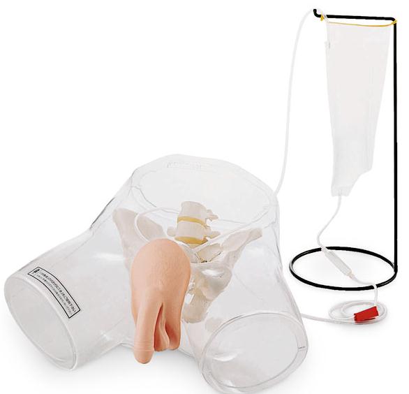 Nasco Healthcare Transparent Male Catheter Model - NSCSB38754U