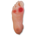 Nasco Healthcare Nasco Diabetic Foot Educational Training Model - NSCSB43091U
