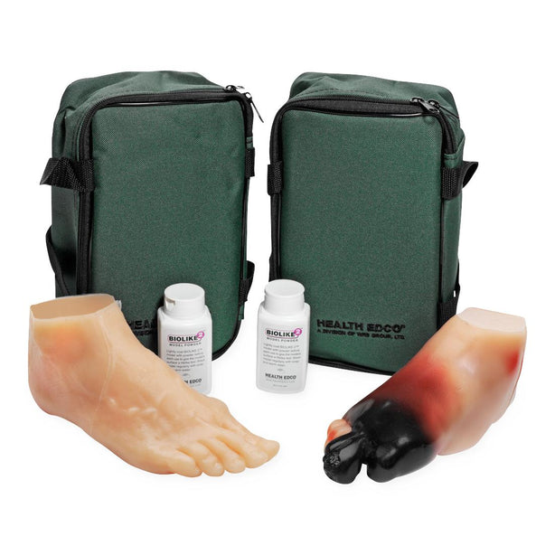 Nasco Healthcare Nasco Diabetic Foot Educational Training Model - NSCSB43093U