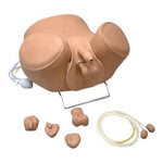 Gaumard Scientific ZACK Multipurpose Male Lower Torso Simulator, Dark Skin Tone - S230.11 - 1 Each