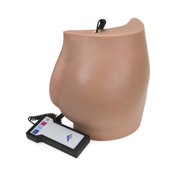 Nasco Healthcare Nasco Buttock Injection Trainer Simulator SB50177UG - 1.0 Each