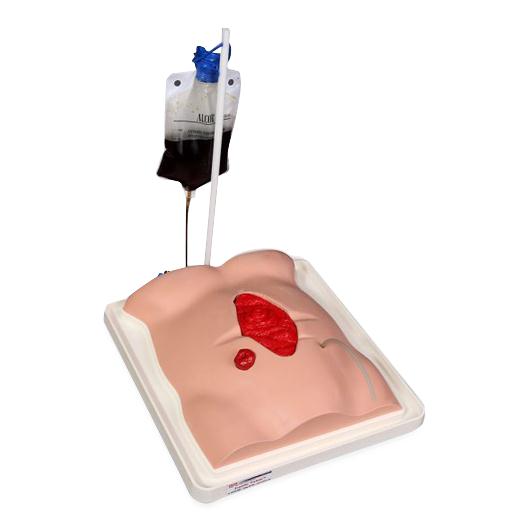 Vata Freddie Fistula Skills Trainer - SB51931 - 1 Each - MDL-NSCSB51931