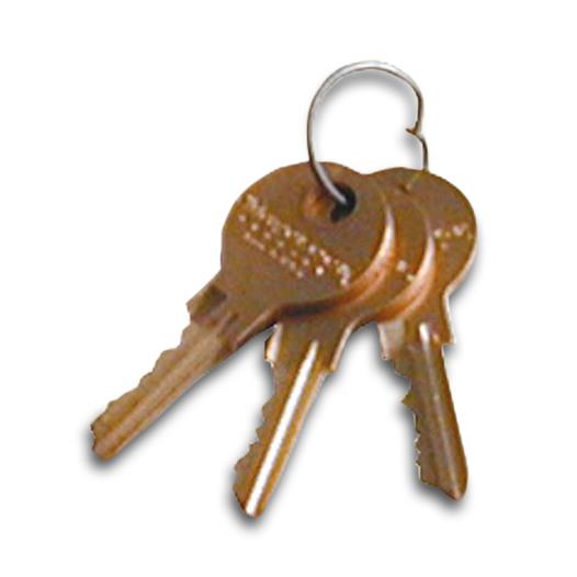Omnimed Refrigerator Lock and Replacement Flat Key for Refrigeratored Box - 181692 - 1 Each
