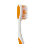 Adult Toothbrush with Soft Bristles by Ascend, 2 per pk, Excellence Daily - ATB-510A