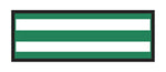 Aspen Surgical ColorTrack Instrument ID Tape, 1/4" Sheet, Kelly Green - 154003EEA - 1 Each