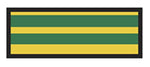 ASPEN SURGICAL PRODUCTS ColorTrack Stripe Instrument ID Sheet Tapes 157003EEA 1 Each
