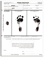 Pdc Healthcare Newborn Identification Forms 2010-00-PDA - 50.0 Each - MDL-PDC2010