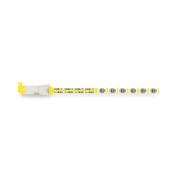Pdc Healthcare Securline Barcode Blood Wristbands 2431-14-PDB - 150.0 Each