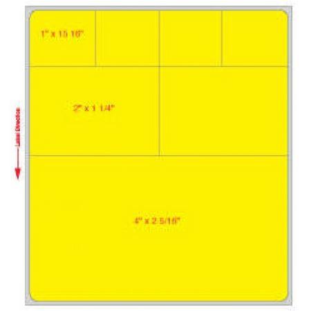 PDC Healthcare Direct Thermal Labels - LDWHP101 - 2 Roll - MDL-PDCLDWHP101