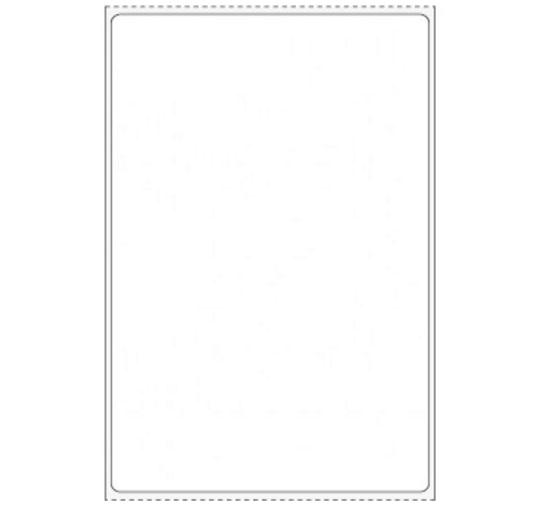 PDC Healthcare Direct Thermal Labels - THERMD48 - 8 Each - MDL-PDCTHERMD48