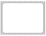 PDC Healthcare Direct Thermal Labels - THERMD4 - 8 Roll - MDL-PDCTHERMD4