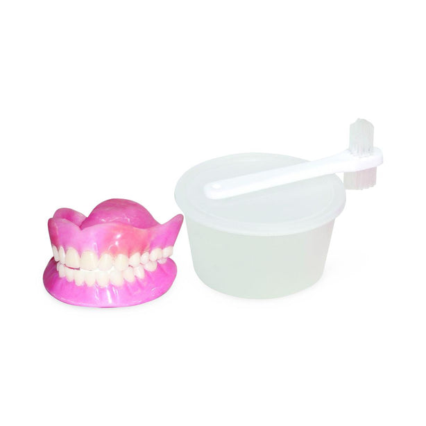Pocketnurse Pocket Nurse Dentures with Cup and Brush 10-81-2005 - 1.0 Each