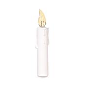 Pocketnurse Lamp of Learning Graduation Gift - PKI1771144