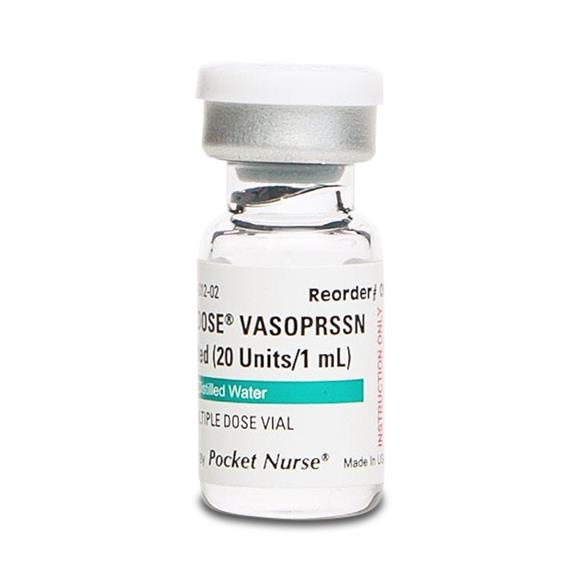 Demo Dose Vasopressn MDV - 06-93-1106 - 1 Each - MDL-PKI6931106