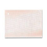 Print Media Corporation EKG Thermal Recording Paper V1055961 - 1.0 Each - MDL-PMCV1055961H