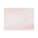 Print Media Corporation Chart Paper Rolls V7149325 - 8.0 Each
