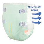 Principle Business Enterprises Tranquillity SmartCore Disposable Briefs 2311 - 100.0 Each