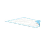 Attends Healthcare Products Attends Dri-Sorb Underpads UFS 170 - 10.0 Each - MDL-PRKUFS170Z