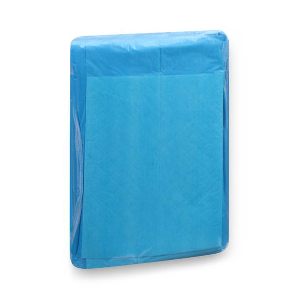 Attends Healthcare Products Attends Dri-Sorb Underpads UFS-300 - 10.0 Each - MDL-PRKUFS300Z