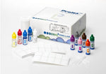 Pro Labs Diagnostics Streptococcal Grouping Kit, Latex - PROPL030