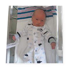 Posey Limb Holder with Plastic Buckle, Pediatric - 4734 - 24 Each