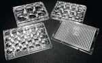 Sterile Untreated Polystyrene Microplate with Lid, Flat Bottom, 12 Well, 6, and 24 Plates - 222-8046-01F - 100 Each